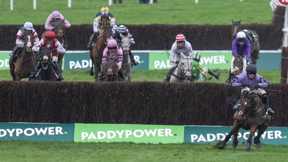Stage Star winning Paddy Power Gold Cup at Cheltenham 